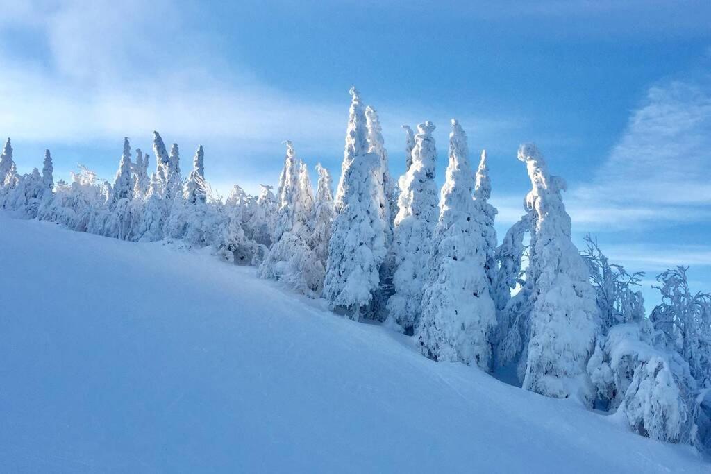 The Mountainside By Escapades Tremblant Lejlighed Mont-Tremblant Eksteriør billede